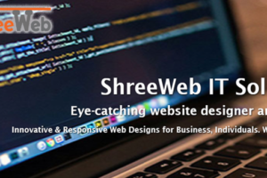 ShreeWeb IT Solution